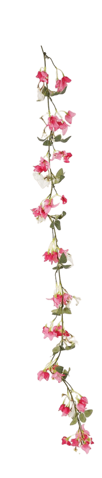 Hanging Lily 1